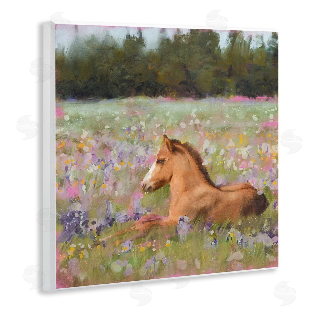 Foal Horse Lounging Flower Meadow Wood Plaque Wall Art, Home Decor by Nina Blue