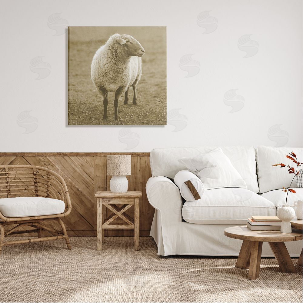 Stupell Studio Sheep Grazing Farmland Photography Canvas Wall Art in Room