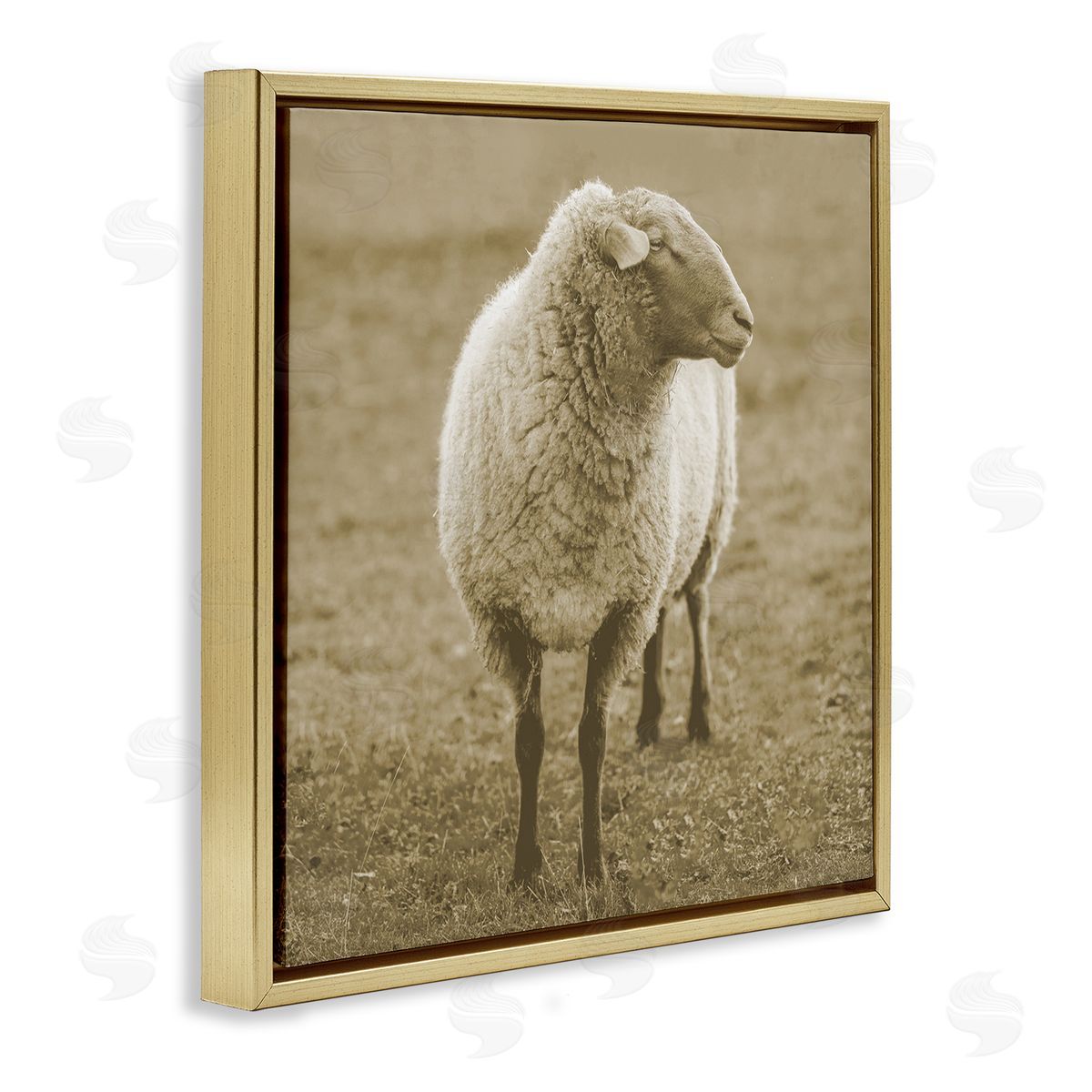 Stupell Studio Sheep Grazing Farmland Photography Gold Floating Frame Canvas Wall Art Print