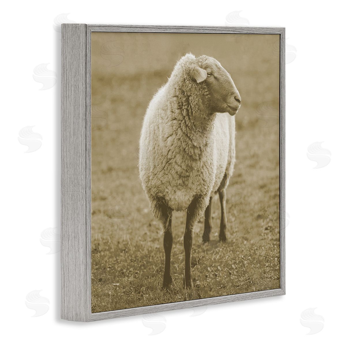 Stupell Studio Sheep Grazing Farmland Photography Gray Framed Glicee Wall Art Print