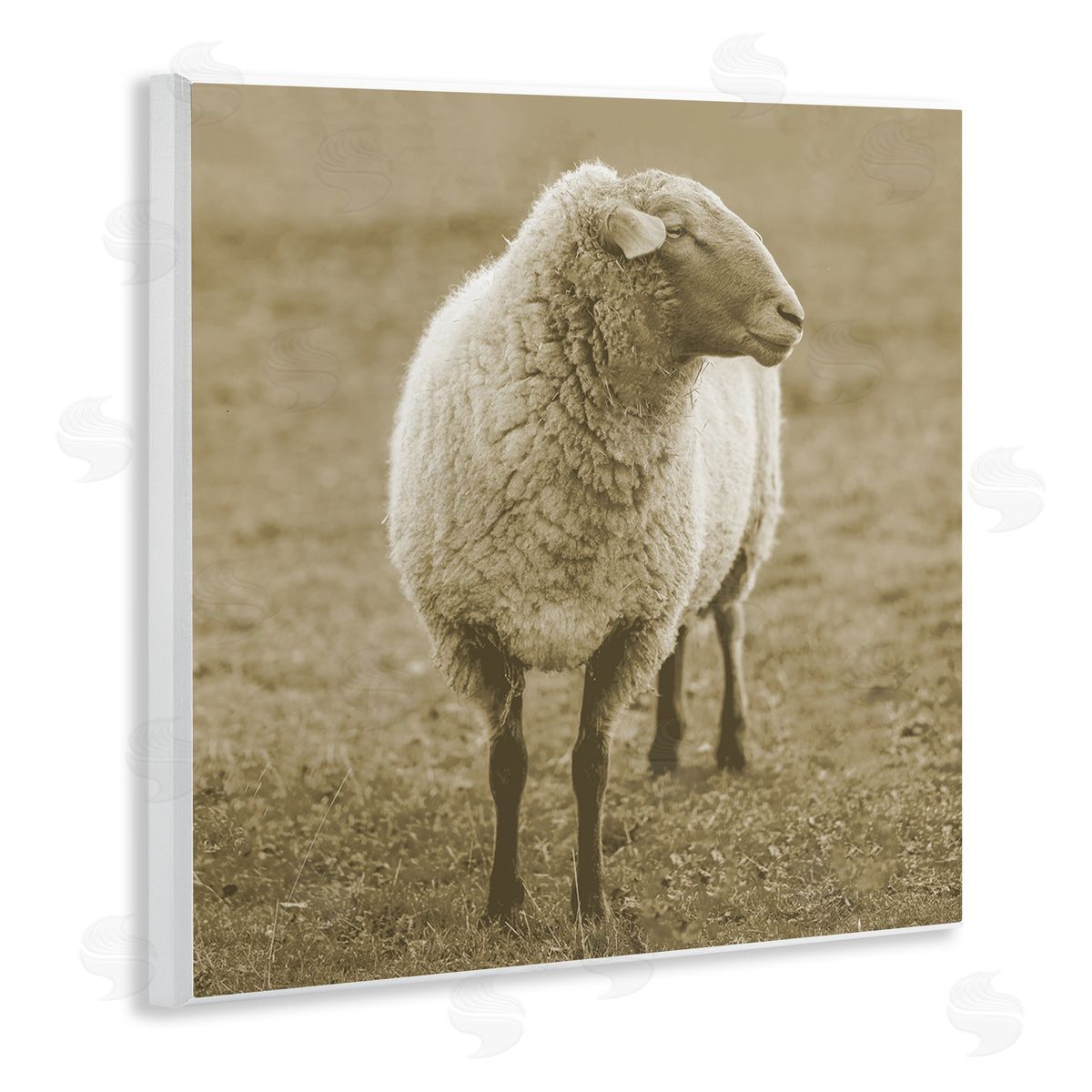 Stupell Studio Sheep Grazing Farmland Photography Wooden Wall Plaque Art Print