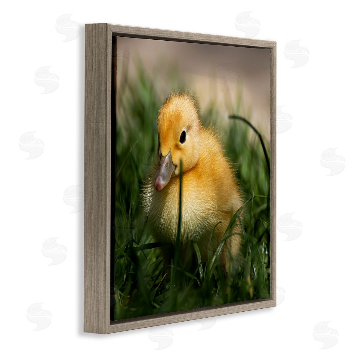Stupell Studio Baby Duckling in Grass Photography Brown Floating Frame Canvas Wall Art Print