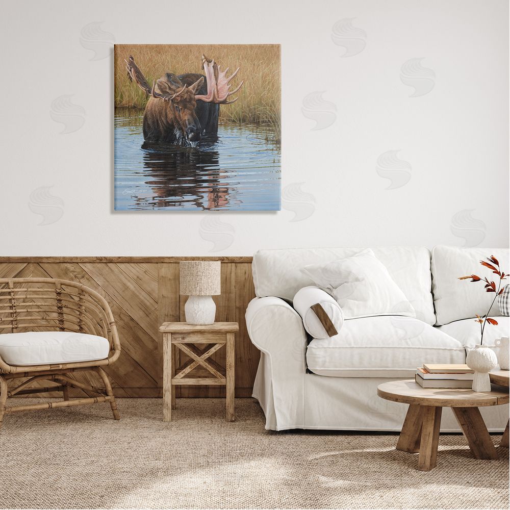 Daniel Smith Moose In Water Wildlife Scene Canvas Wall Art in Room