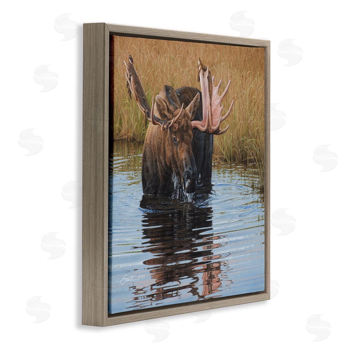 Daniel Smith Moose In Water Wildlife Scene Brown Floating Frame Canvas Wall Art Print