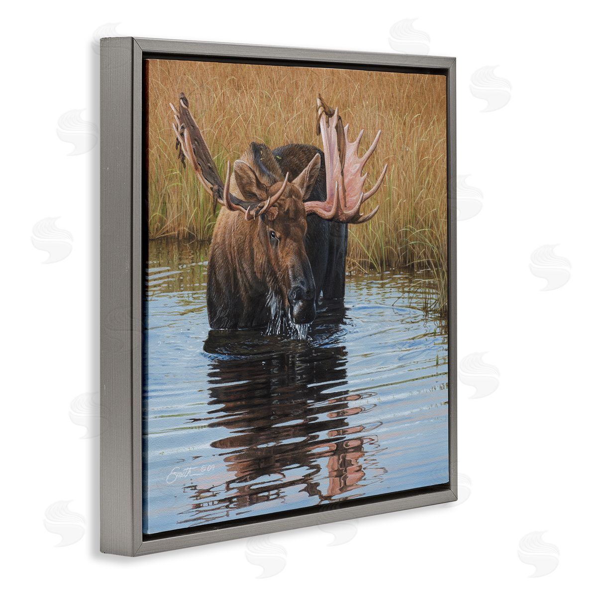 Daniel Smith Moose In Water Wildlife Scene Gray Floating Frame Canvas Wall Art Print