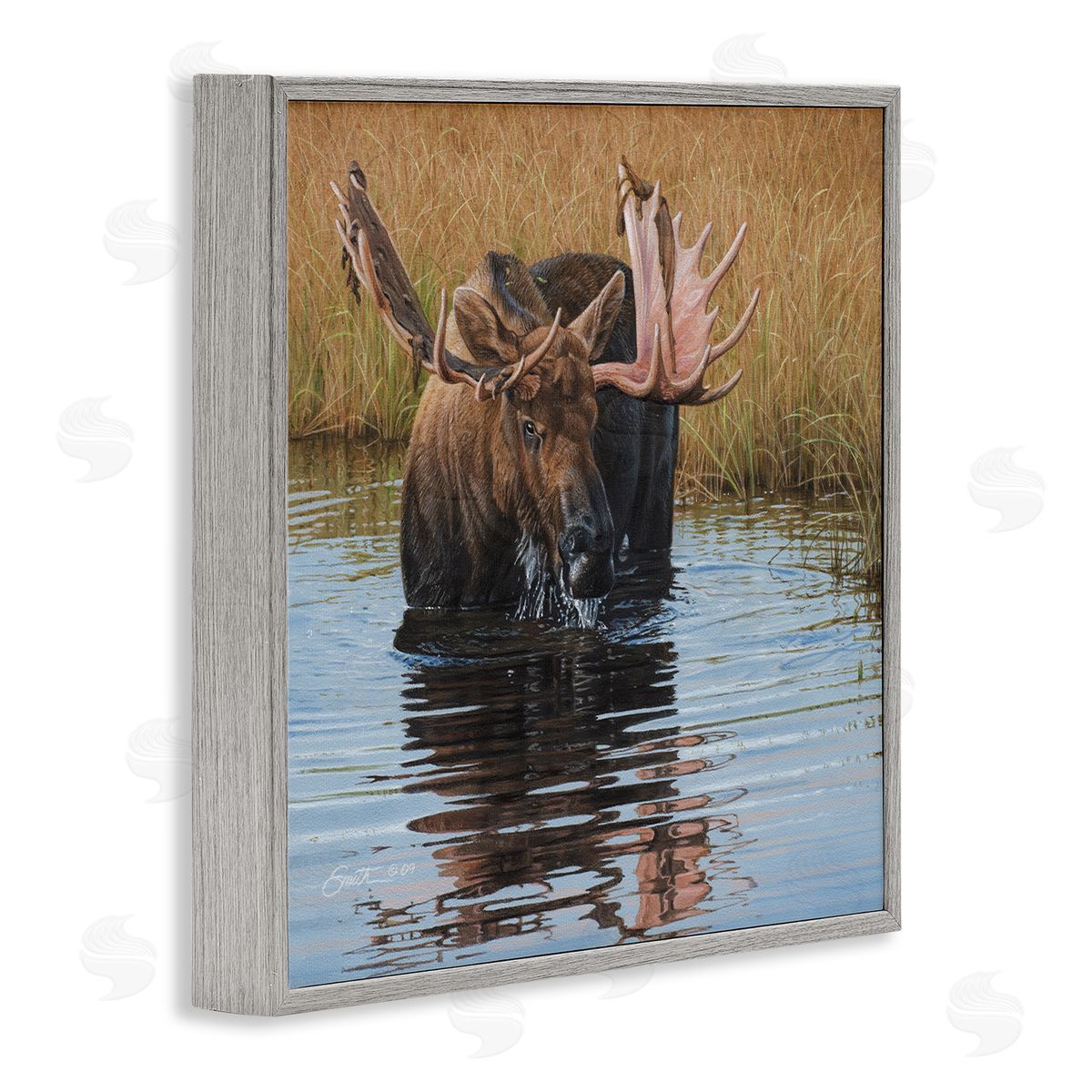 Daniel Smith Moose In Water Wildlife Scene Gray Framed Glicee Wall Art Print
