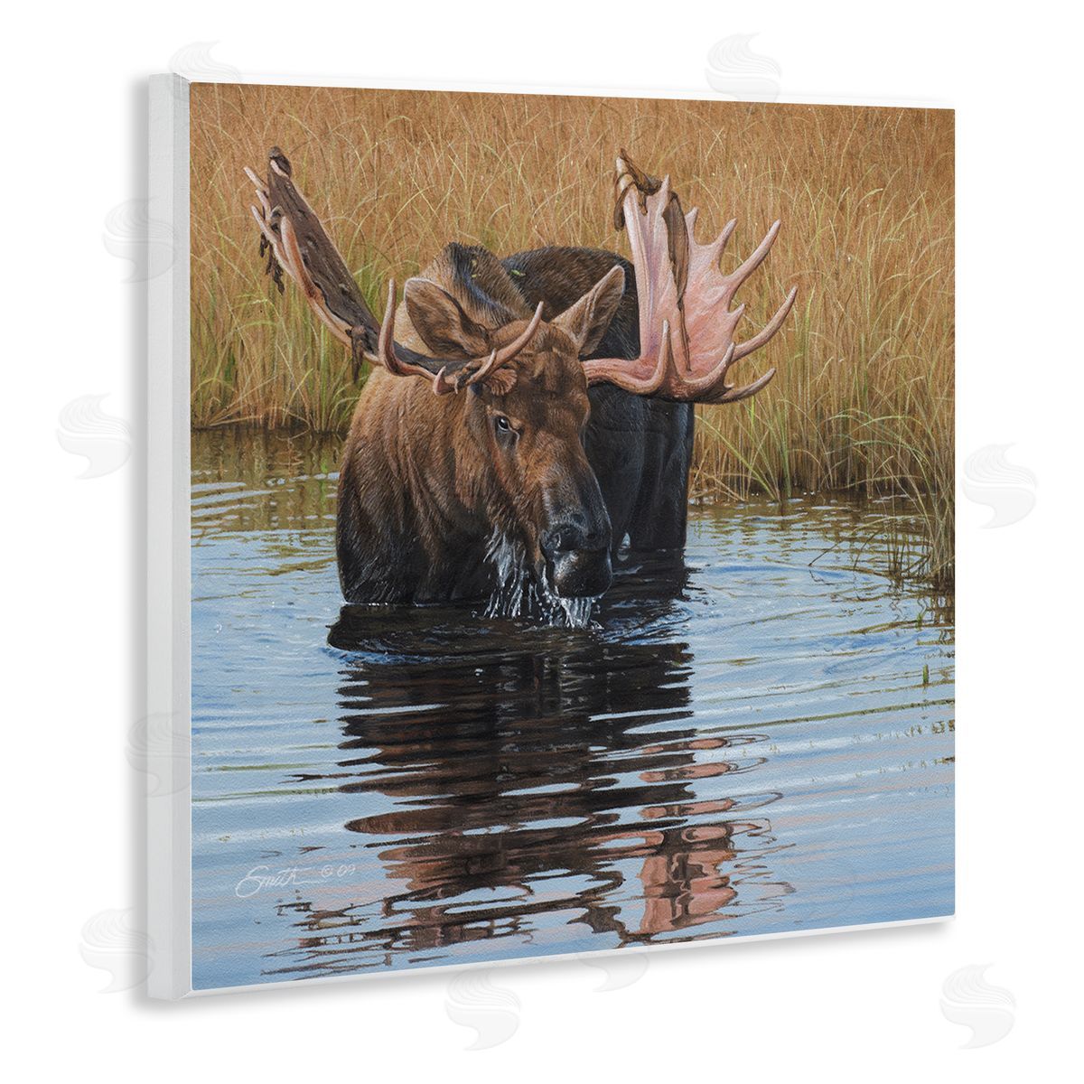 Daniel Smith Moose In Water Wildlife Scene Wooden Wall Plaque Art Print