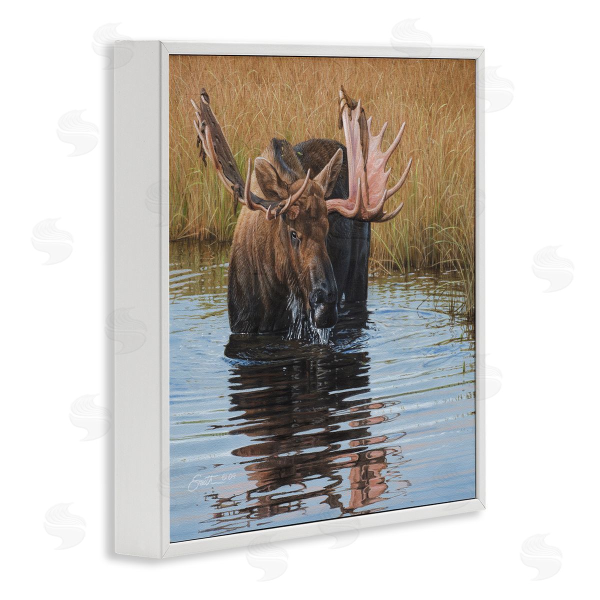 Daniel Smith Moose In Water Wildlife Scene White Framed Glicee Wall Art Print