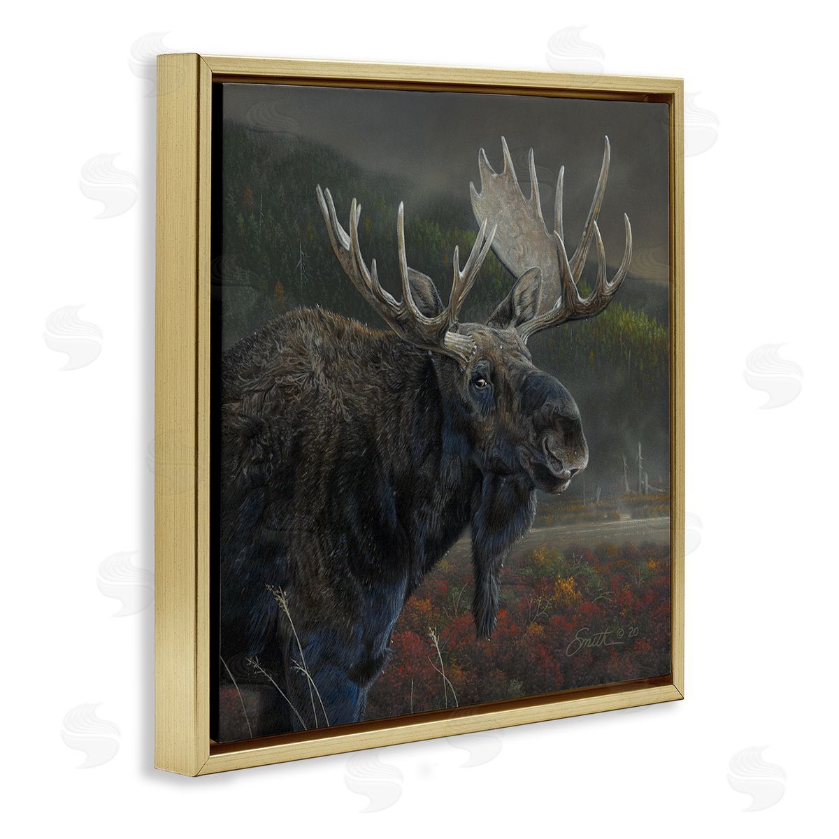 Daniel Smith Moose Dark Forest Landscape Gold Floating Frame Canvas Wall Art Print