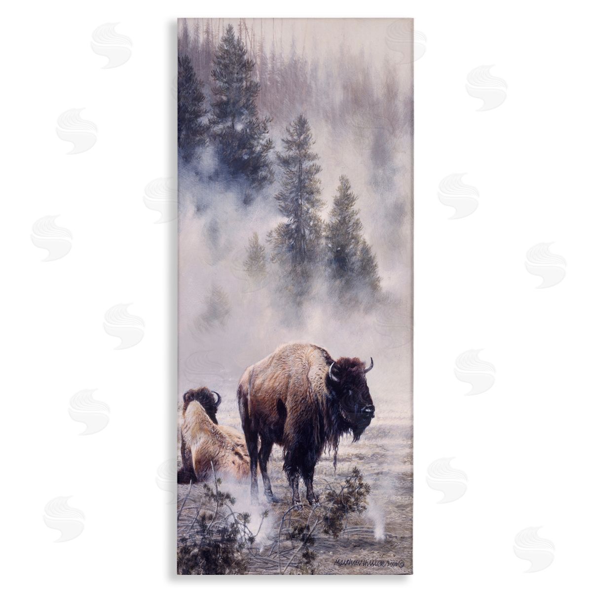 Matthew Hillier Bison Foggy Woodland Nature Stretched Canvas Wall Art Print