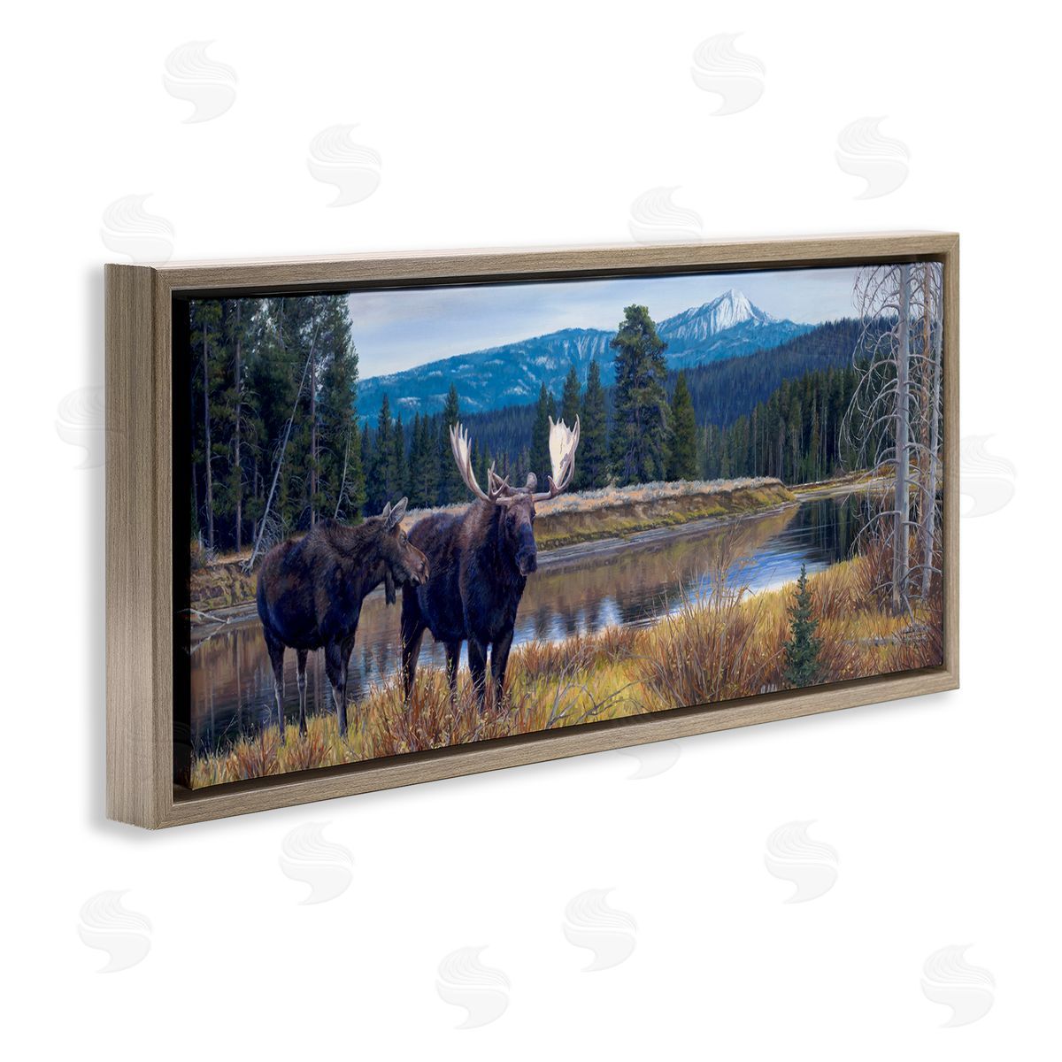 David Graham Moose in River Mountain Scene Brown Floating Frame Canvas Wall Art Print