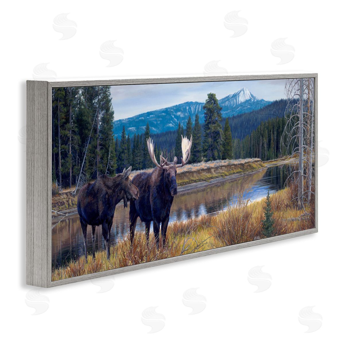 David Graham Moose in River Mountain Scene Gray Framed Glicee Wall Art Print