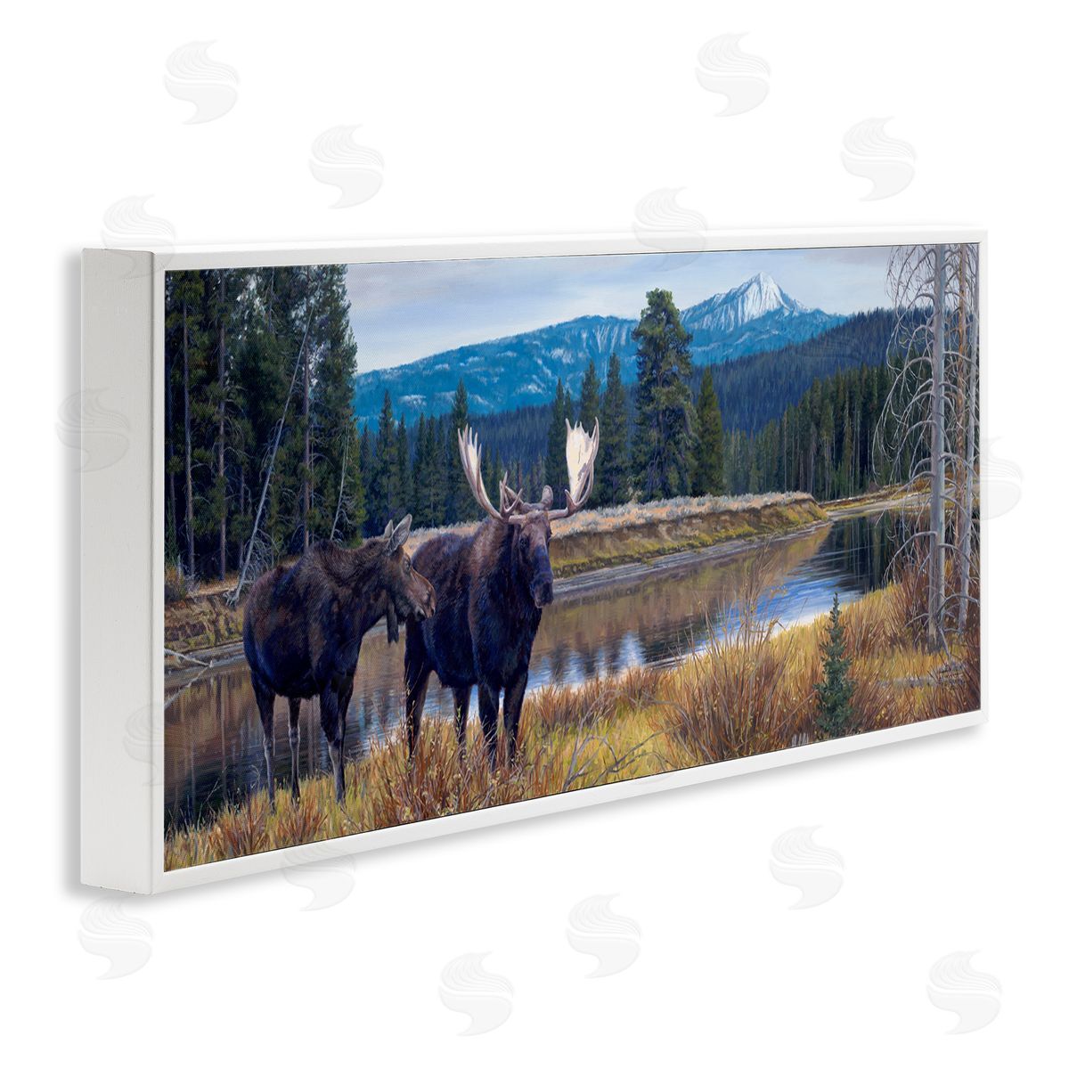 David Graham Moose in River Mountain Scene White Framed Glicee Wall Art Print