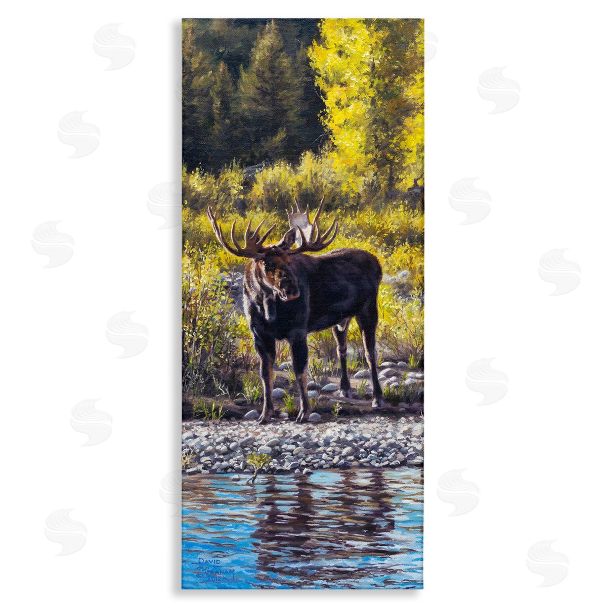 David Graham Early Summer Moose At Lake Stretched Canvas Wall Art Print