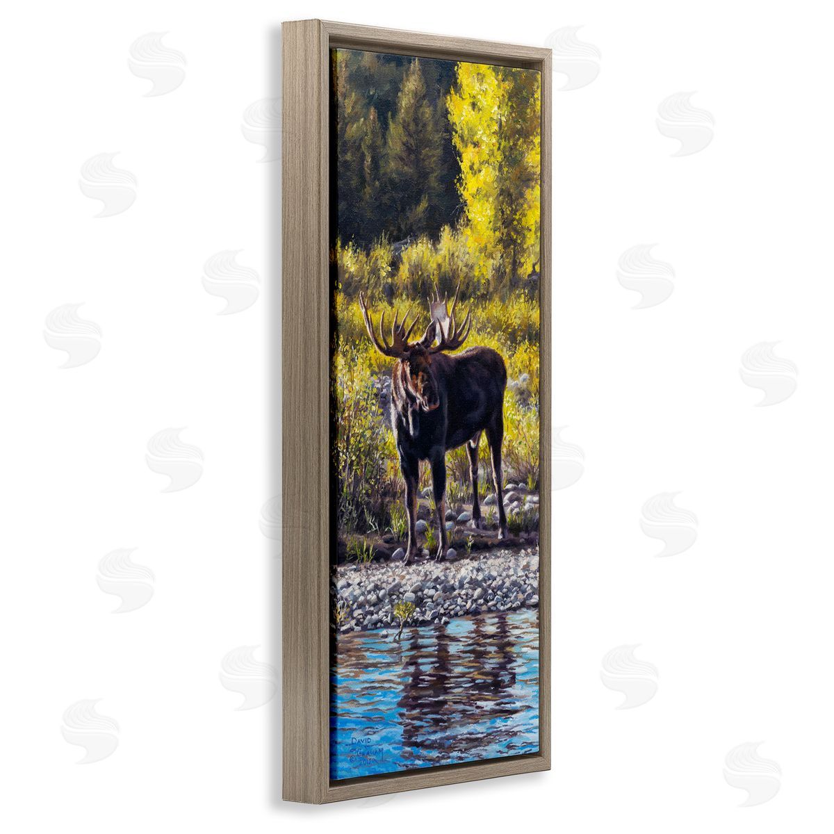 David Graham Early Summer Moose At Lake Brown Floating Frame Canvas Wall Art Print