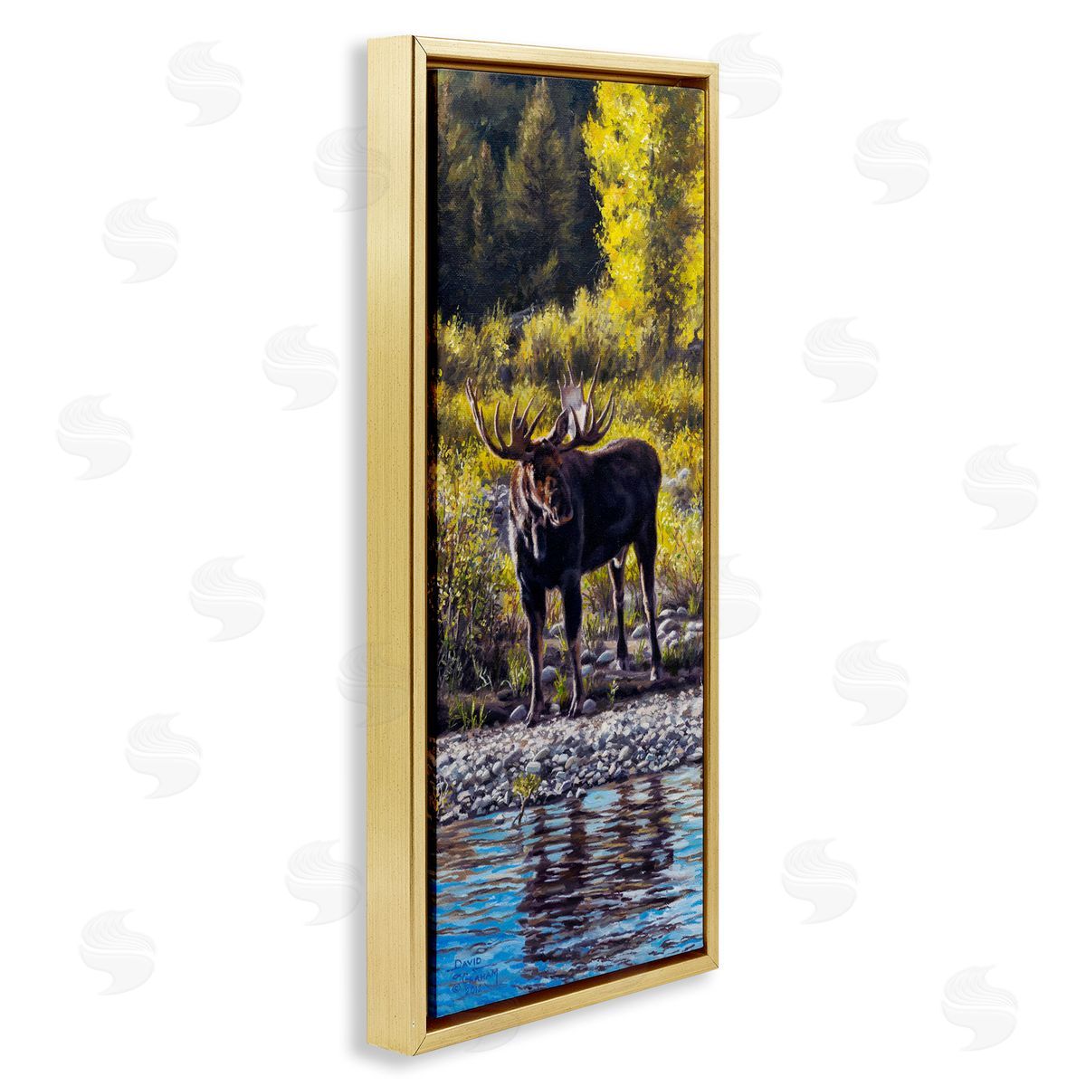 David Graham Early Summer Moose At Lake Gold Floating Frame Canvas Wall Art Print