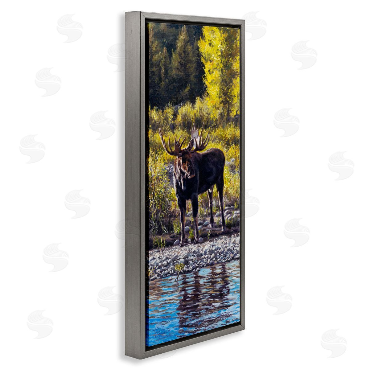 David Graham Early Summer Moose At Lake Gray Floating Frame Canvas Wall Art Print