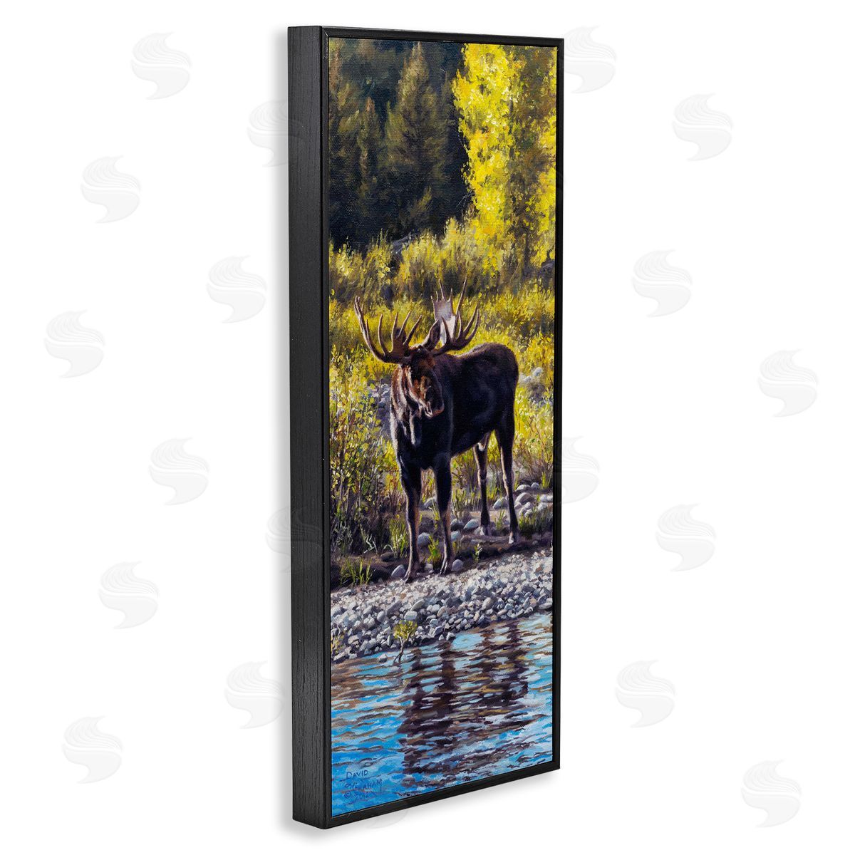 David Graham Early Summer Moose At Lake Black Framed Glicee Wall Art Print