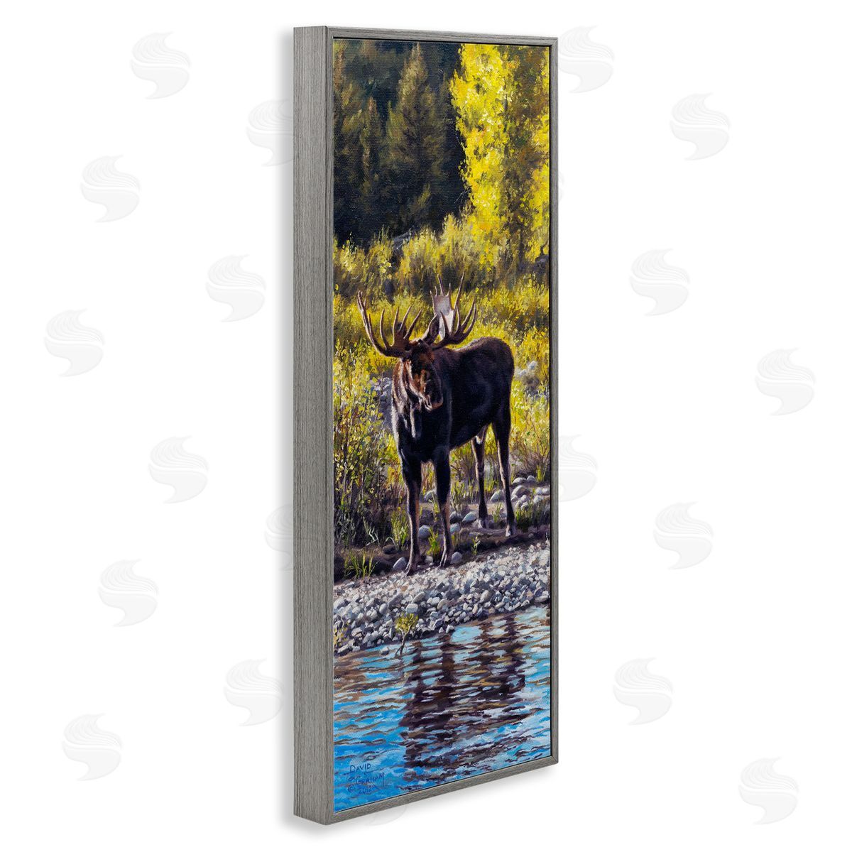 David Graham Early Summer Moose At Lake Gray Framed Glicee Wall Art Print