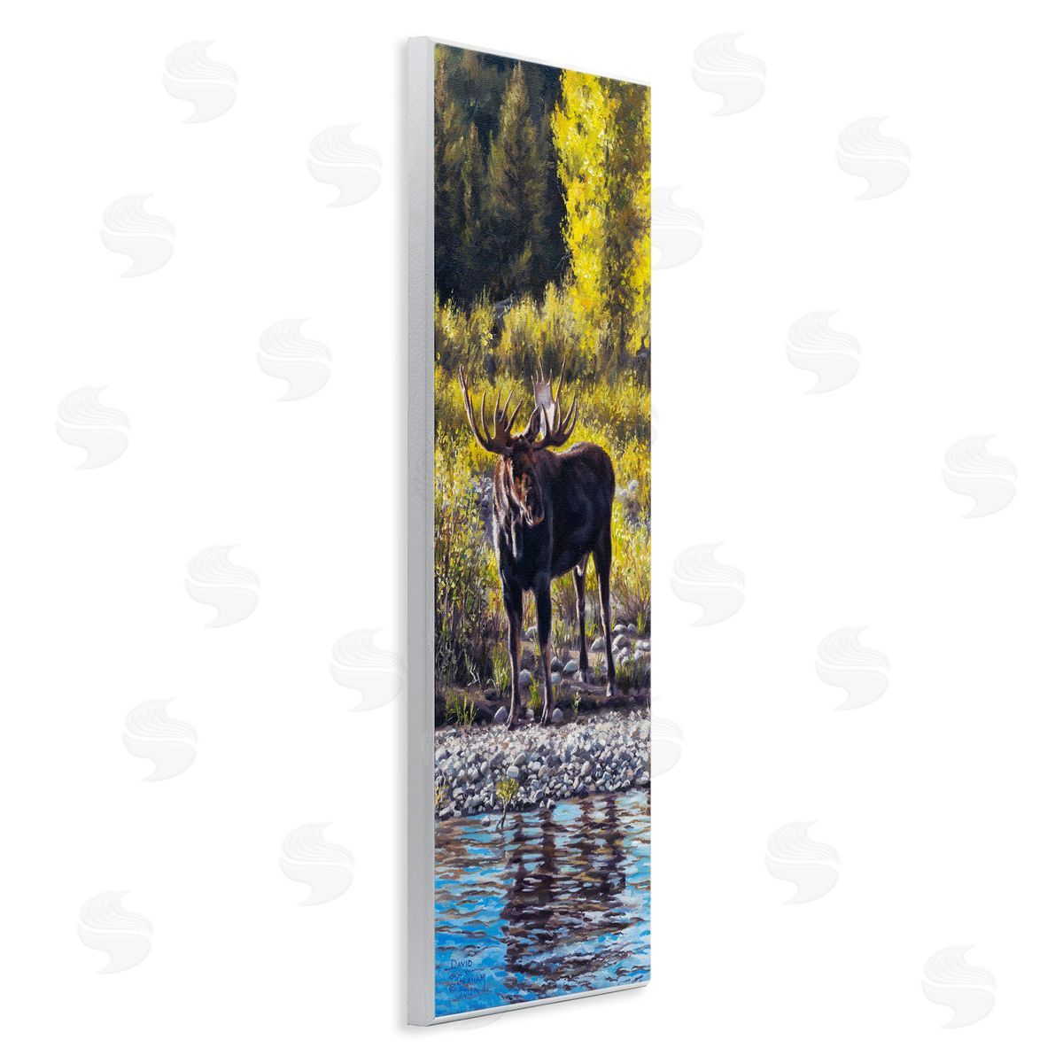 David Graham Early Summer Moose At Lake Wooden Wall Plaque Art Print
