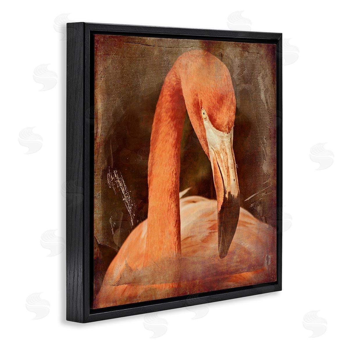 Graffitee Studios Vintage Flamingo Animal Portrait Black Floating Frame Canvas Wall Art Print