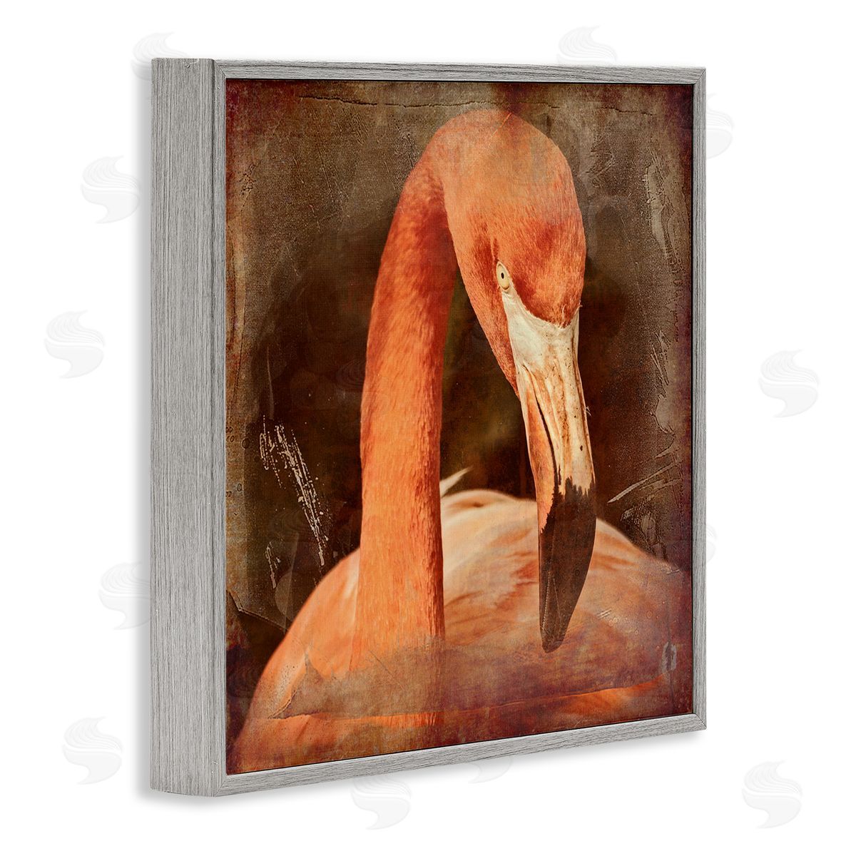 Graffitee Studios Vintage Flamingo Animal Portrait Gray Framed Glicee Wall Art Print