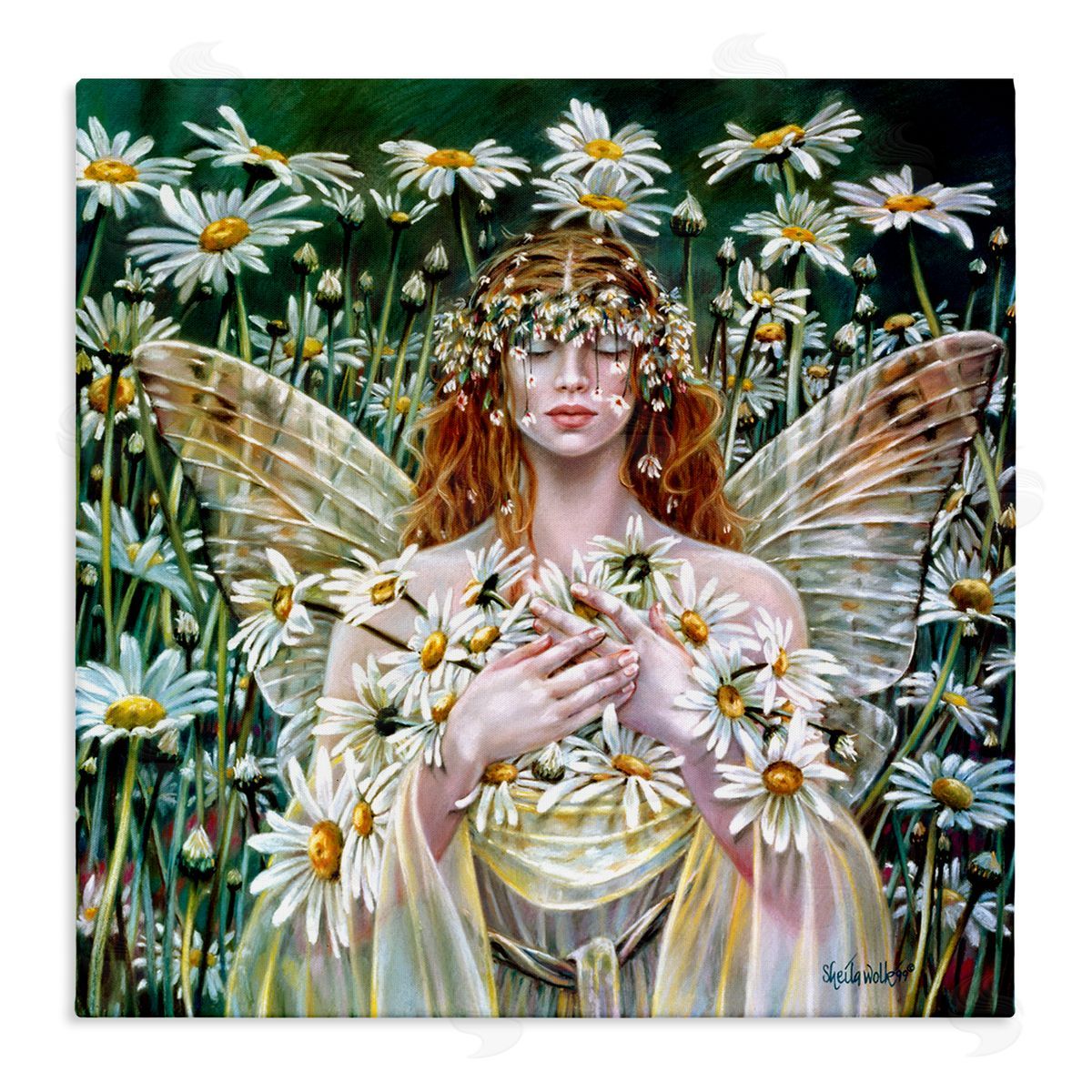 Sheila Wolk Fairy Girl Floral Daisy Field Stretched Canvas Wall Art Print