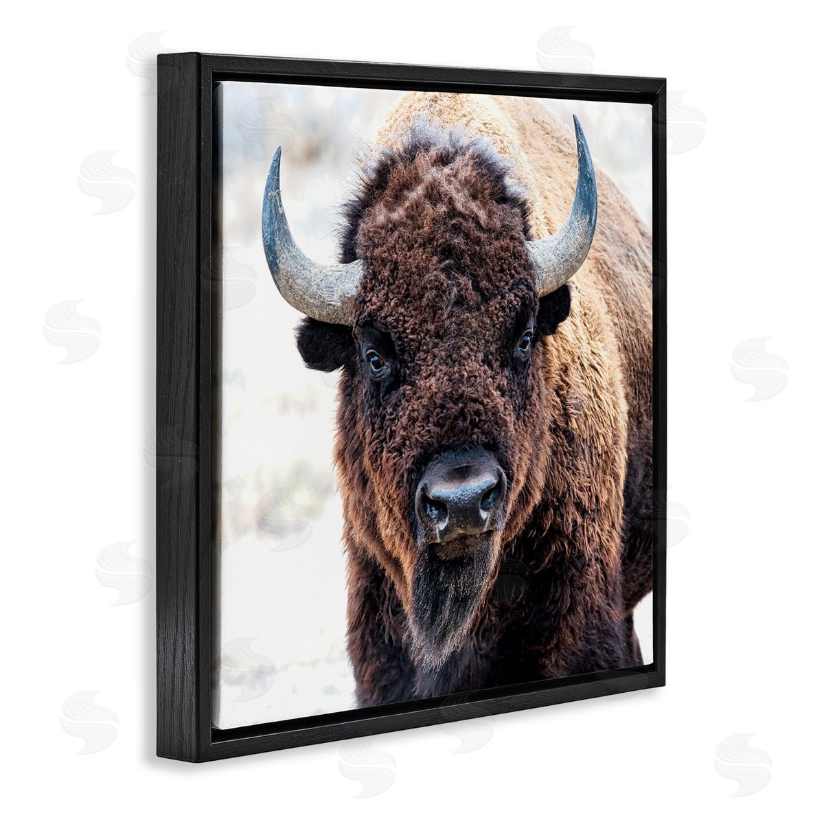 Lena Owens American Bison Photography Black Floating Frame Canvas Wall Art Print