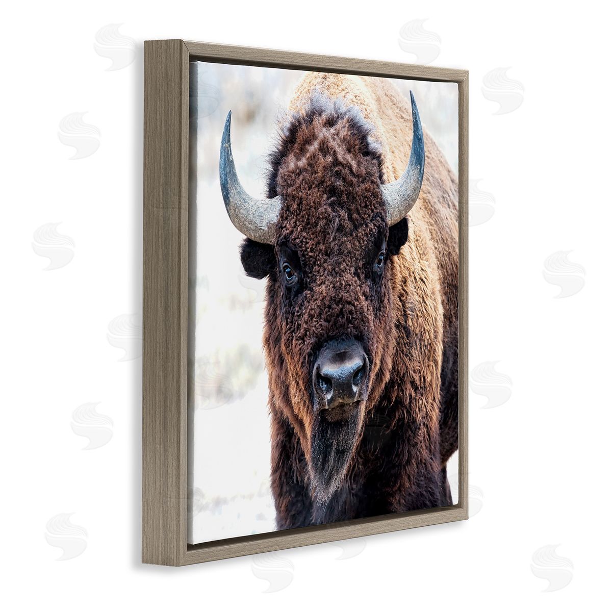 Lena Owens American Bison Photography Brown Floating Frame Canvas Wall Art Print