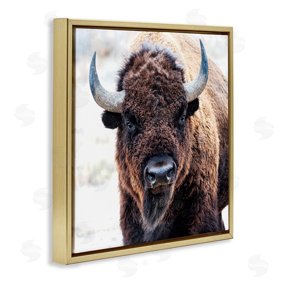 Lena Owens American Bison Photography Gold Floating Frame Canvas Wall Art Print