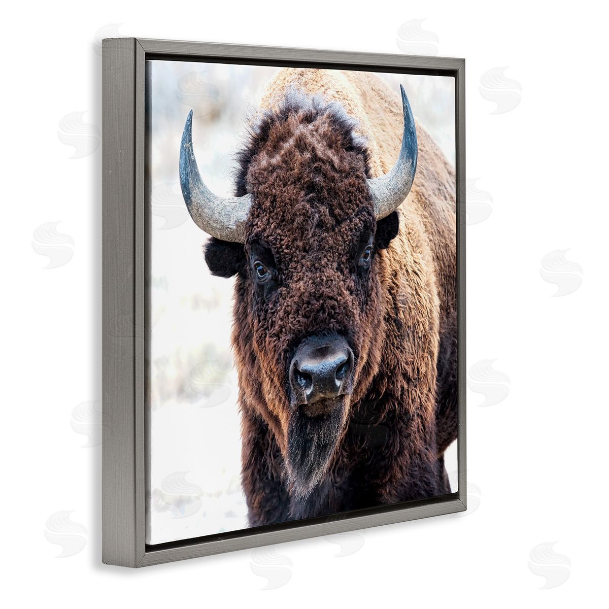 Lena Owens American Bison Photography Gray Floating Frame Canvas Wall Art Print