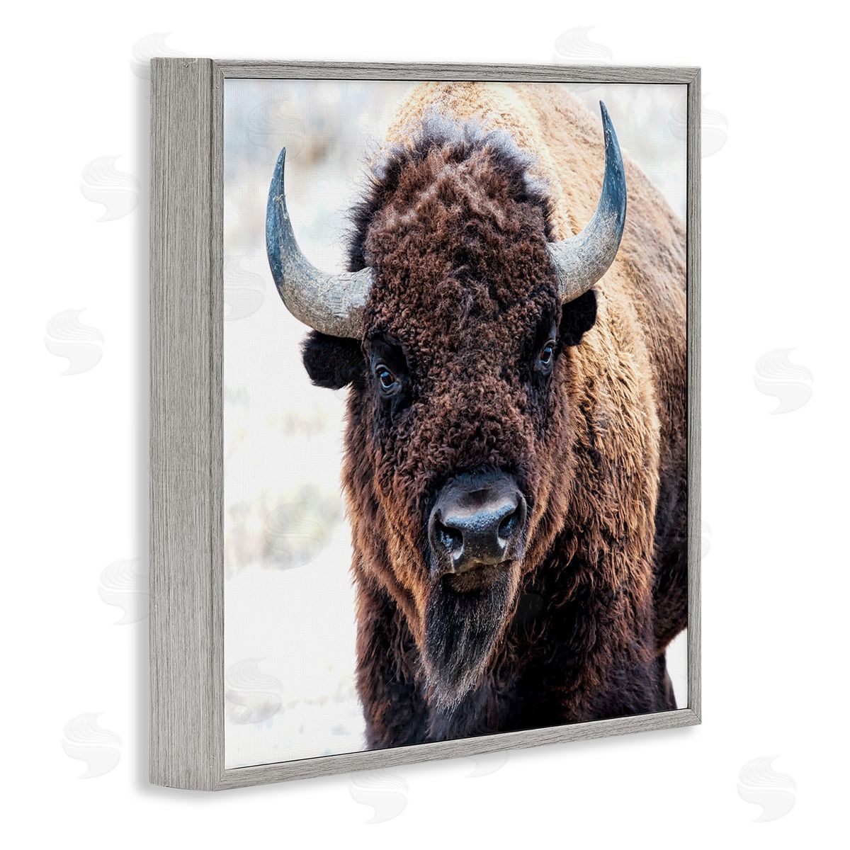 Lena Owens American Bison Photography Gray Framed Glicee Wall Art Print