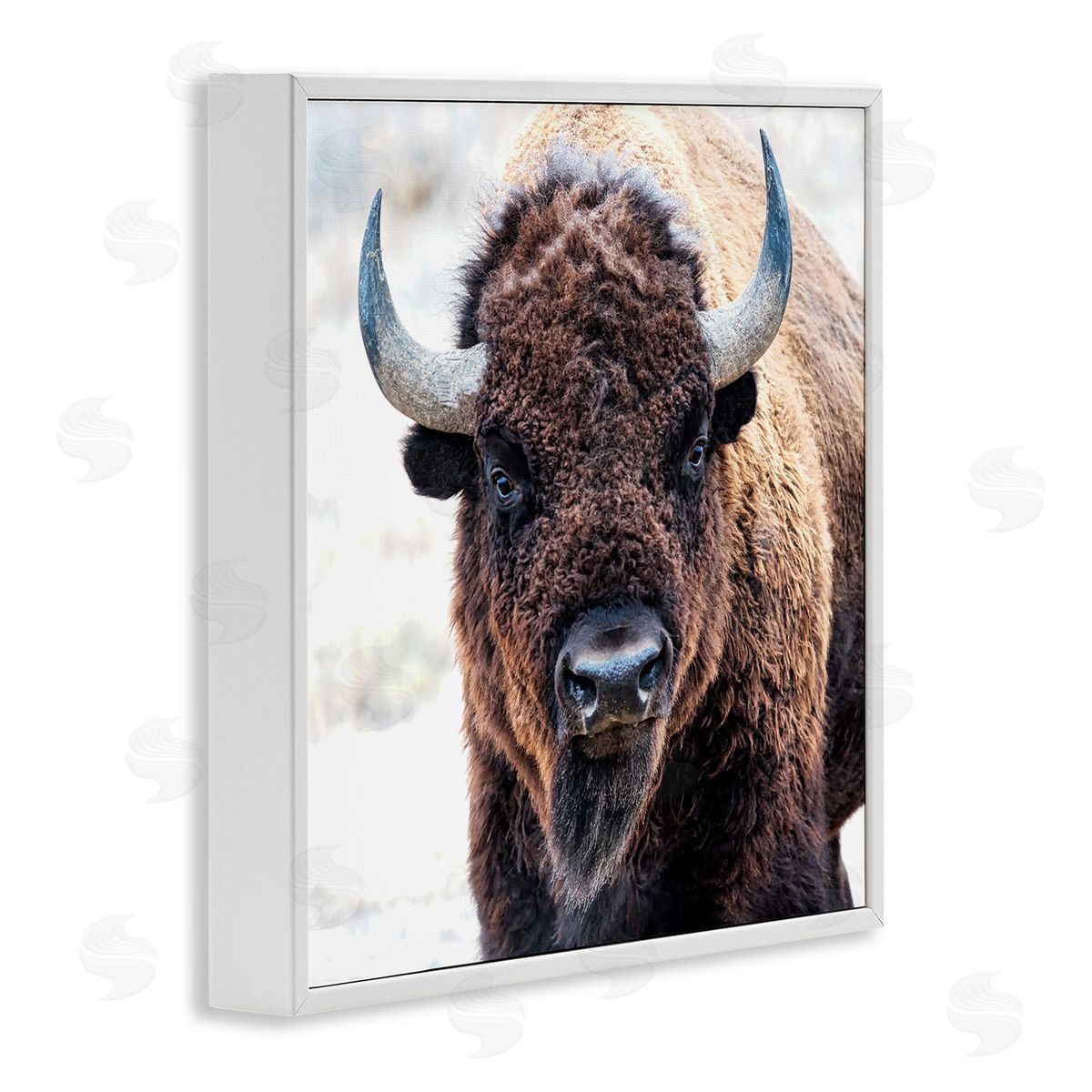 Lena Owens American Bison Photography White Framed Glicee Wall Art Print