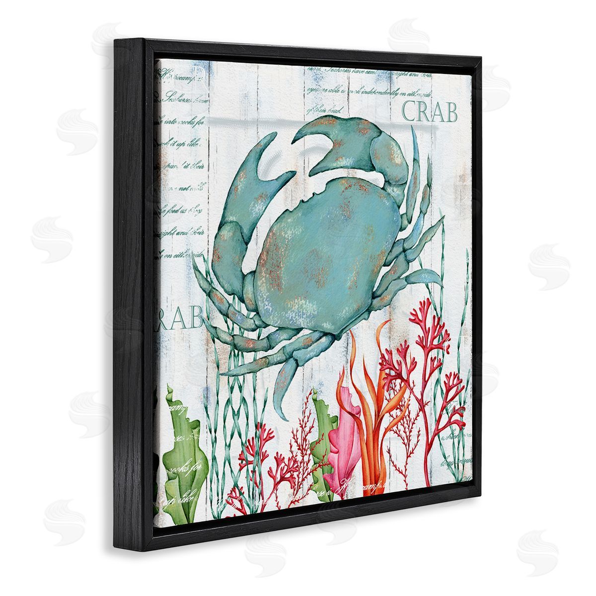 Emma Leach Rustic Crab & Coral Black Floating Frame Canvas Wall Art Print