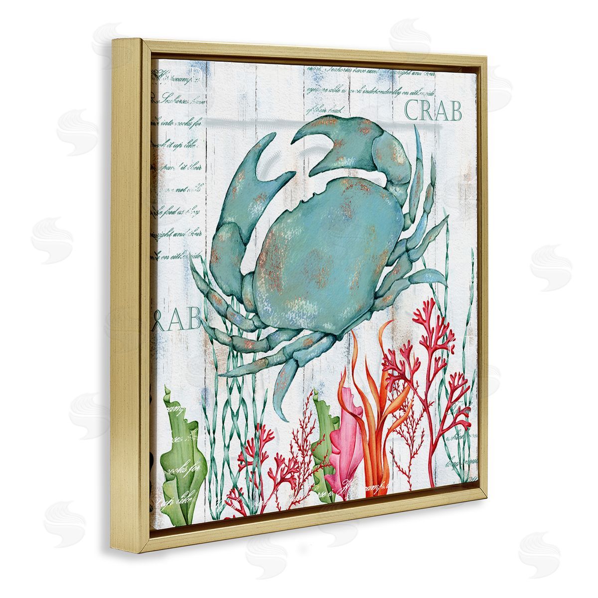 Emma Leach Rustic Crab & Coral Gold Floating Frame Canvas Wall Art Print