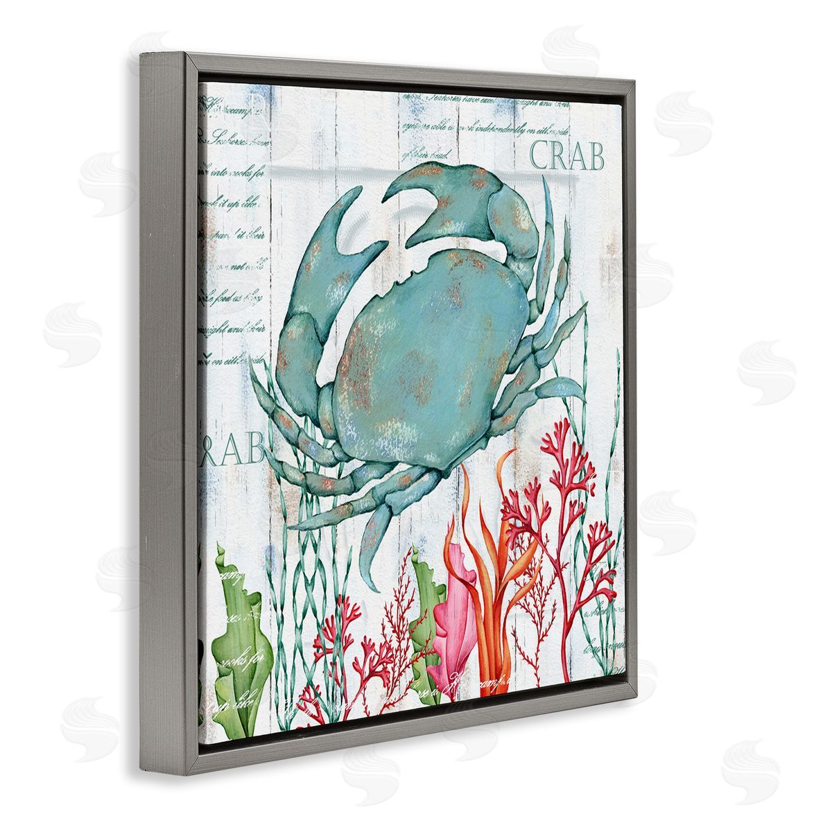 Emma Leach Rustic Crab & Coral Gray Floating Frame Canvas Wall Art Print