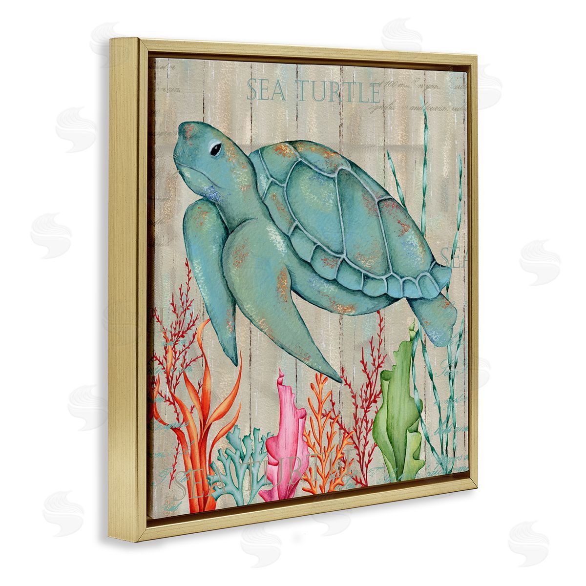 Emma Leach Rustic Sea Turtle Animal Gold Floating Frame Canvas Wall Art Print