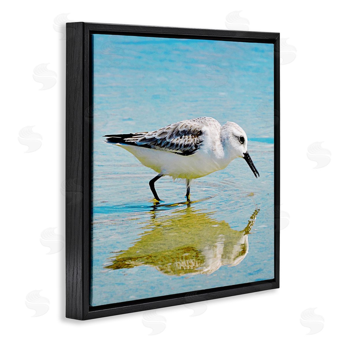 Graffitee Studios Grazing Sandpiper in Water Black Floating Frame Canvas Wall Art Print