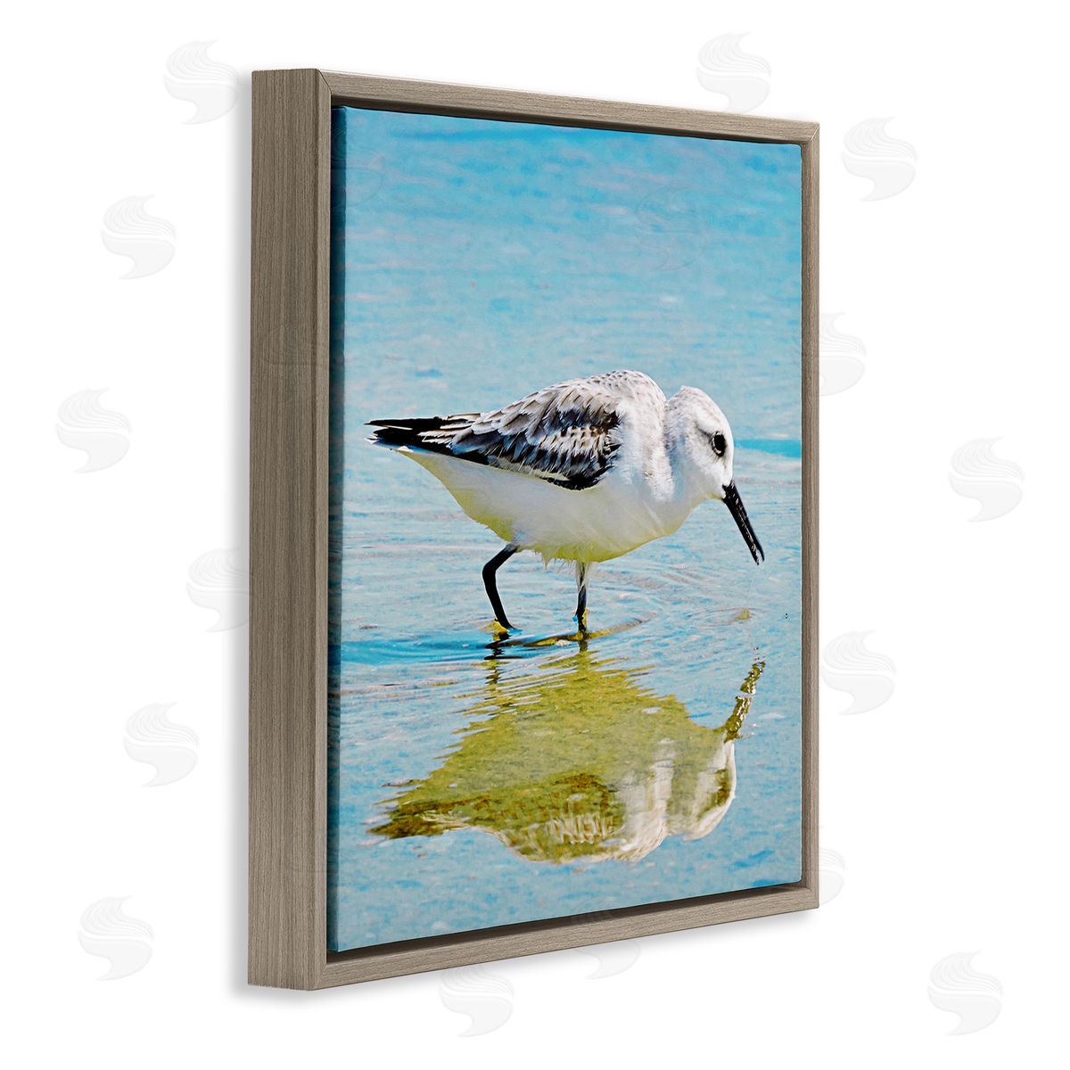 Graffitee Studios Grazing Sandpiper in Water Brown Floating Frame Canvas Wall Art Print