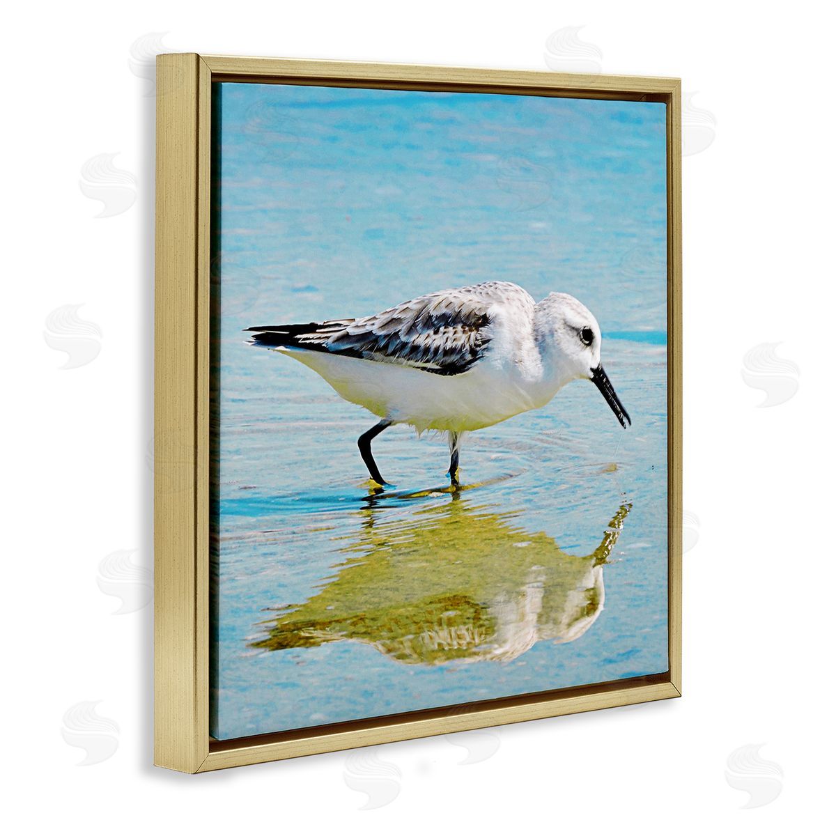 Graffitee Studios Grazing Sandpiper in Water Gold Floating Frame Canvas Wall Art Print
