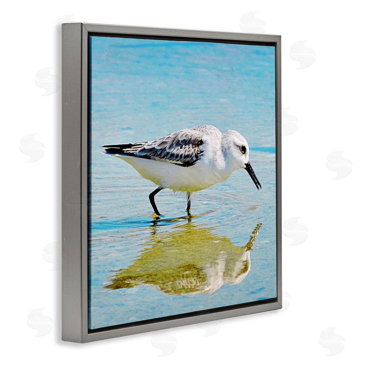 Graffitee Studios Grazing Sandpiper in Water Gray Floating Frame Canvas Wall Art Print