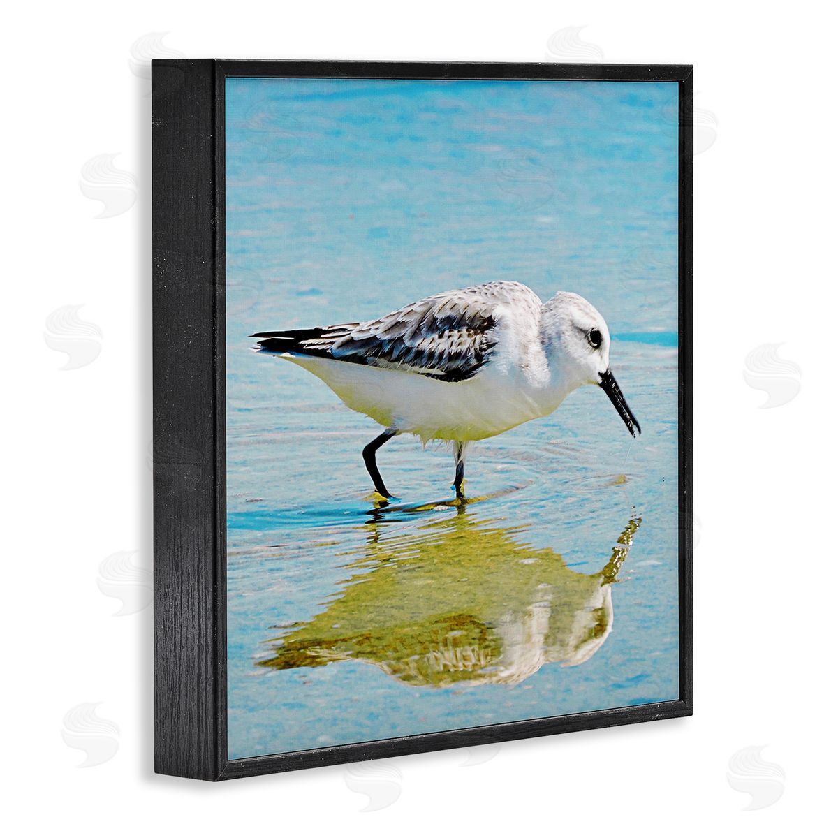 Graffitee Studios Grazing Sandpiper in Water Black Framed Glicee Wall Art Print