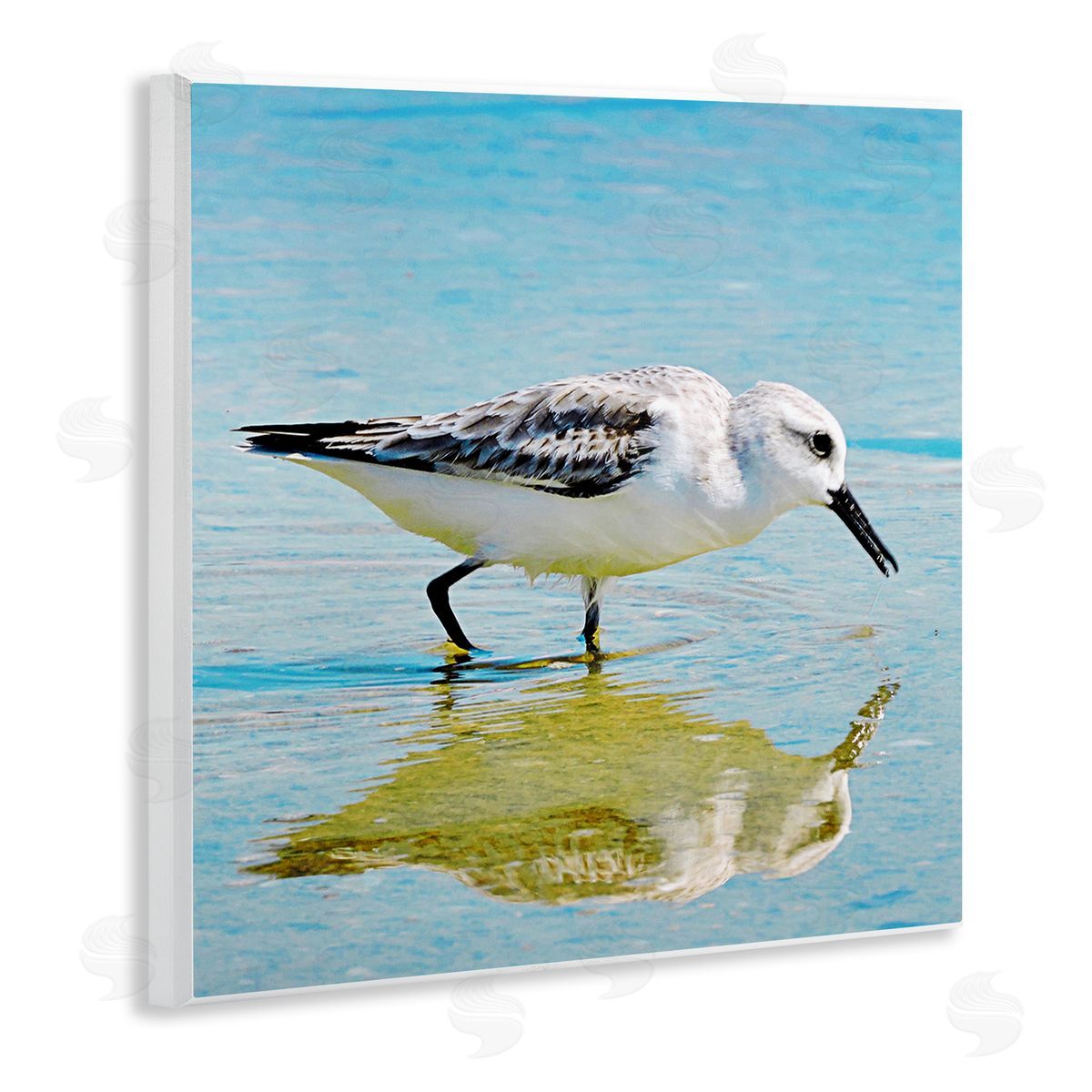 Graffitee Studios Grazing Sandpiper in Water Wooden Wall Plaque Art Print