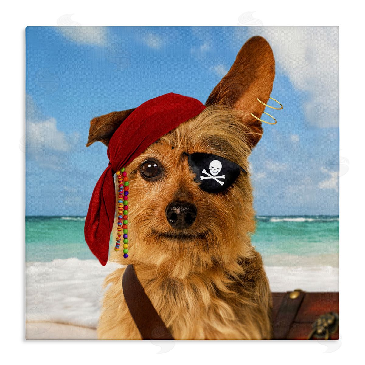 Michael Quackenbush Pirate Dog on Beach Stretched Canvas Wall Art Print