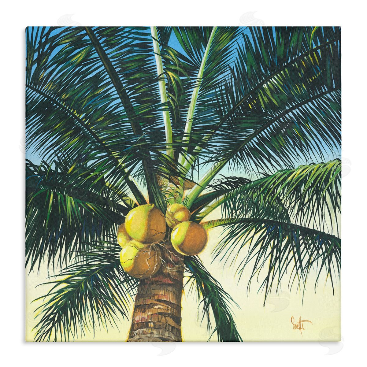 Scott Westmoreland Branching Out Palm Tree  Stretched Canvas Wall Art Print