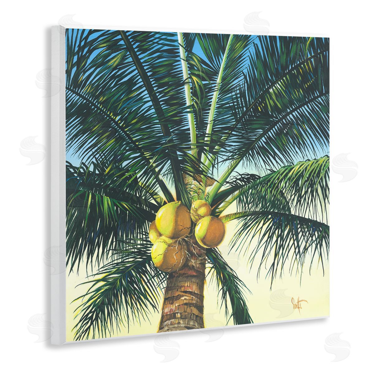 Scott Westmoreland Branching Out Palm Tree  Wooden Wall Plaque Art Print