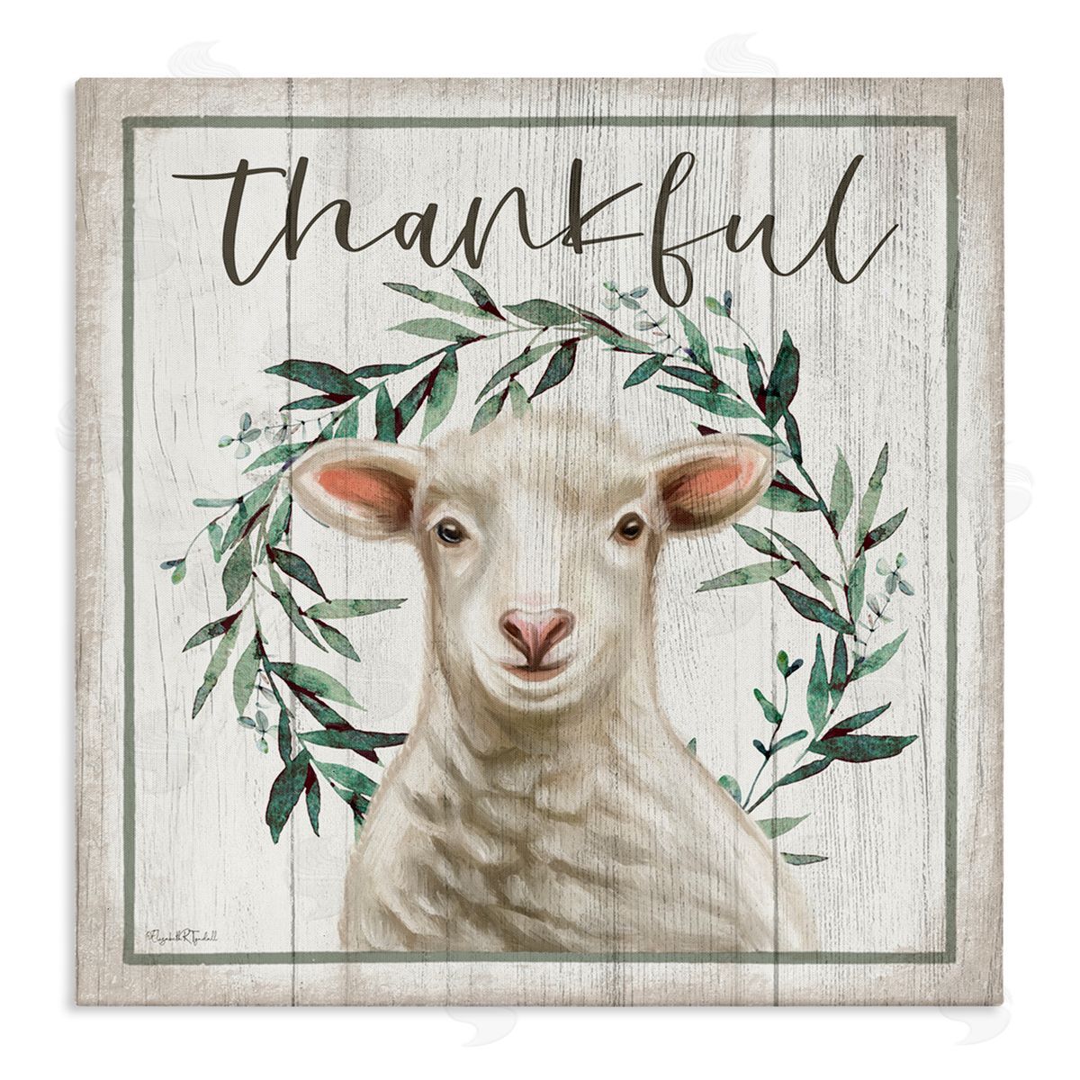 Elizabeth Tyndall Thankful Phrase Sheep Stretched Canvas Wall Art Print