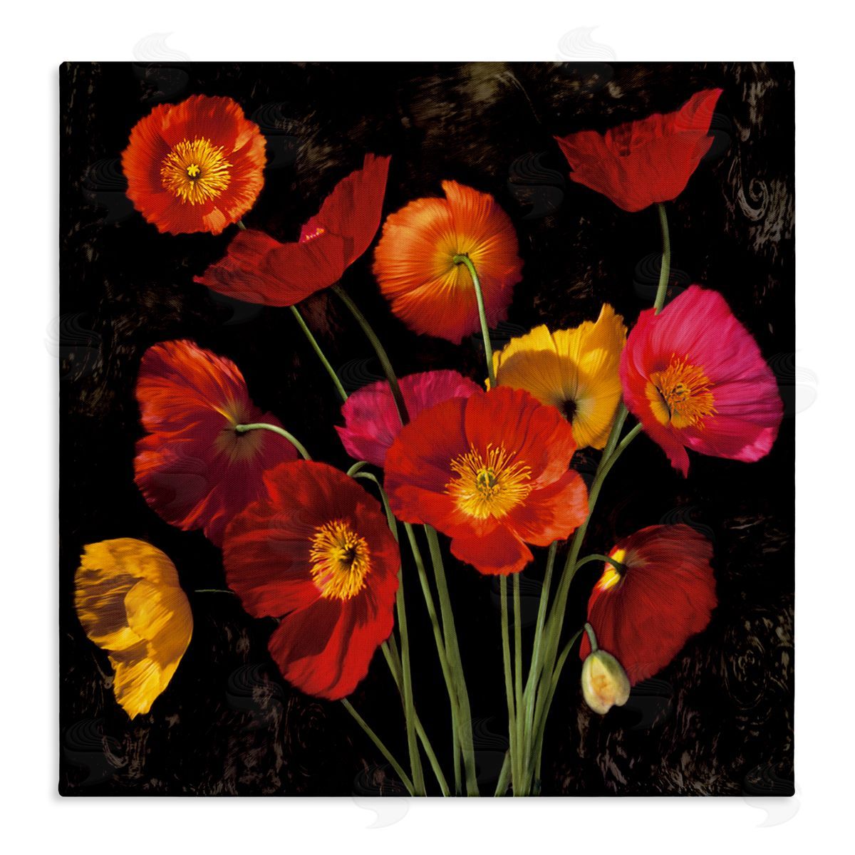 John Seba Red Poppies Photography Stretched Canvas Wall Art Print