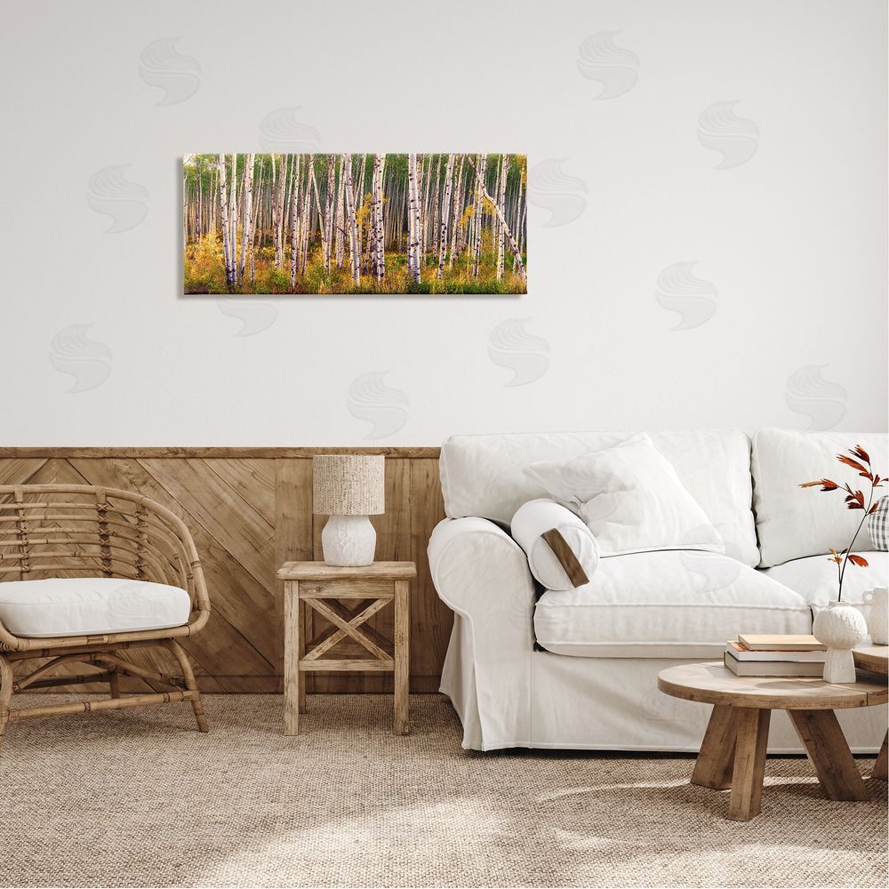 Lena Owens Autumn Birch Trees