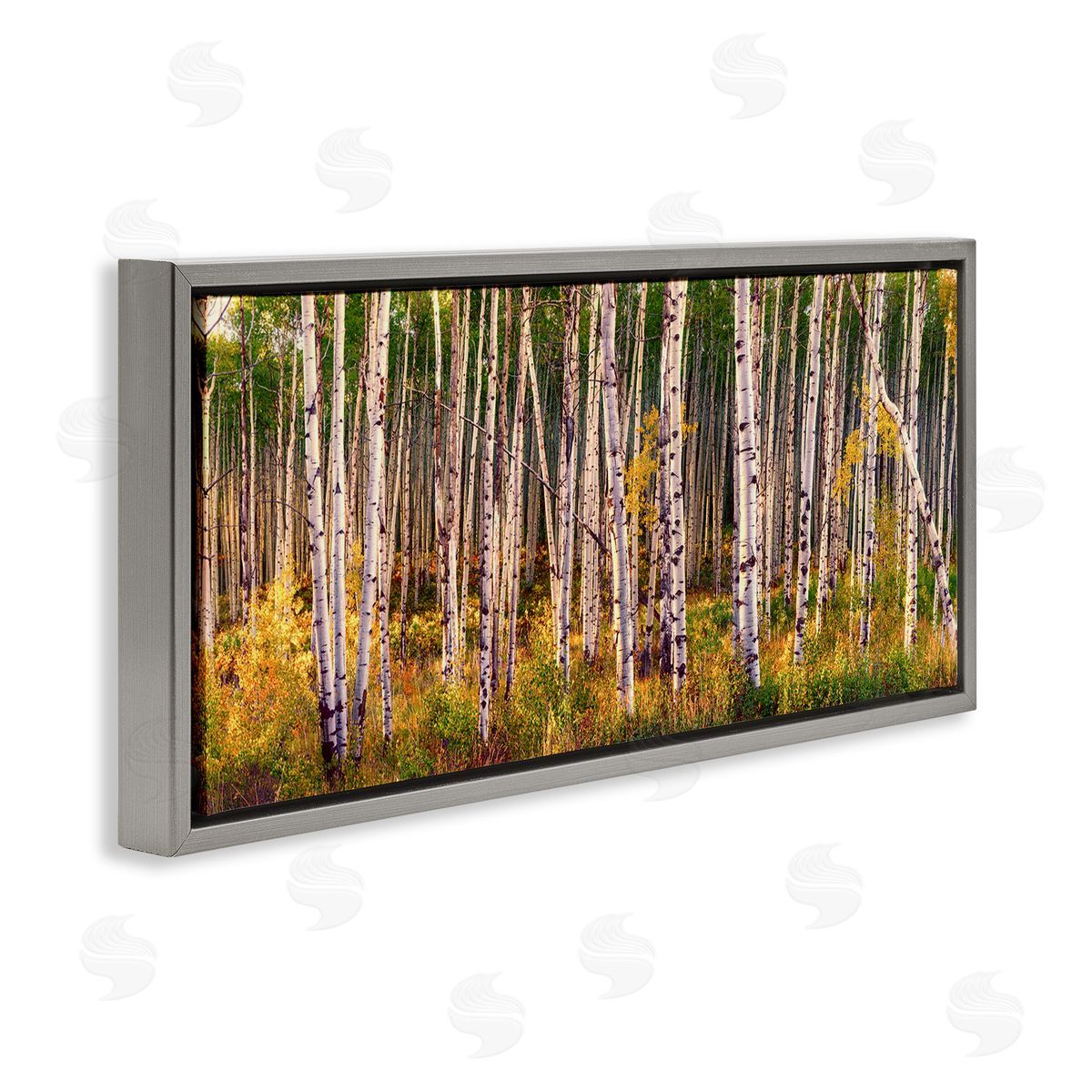 Lena Owens Autumn Birch Trees